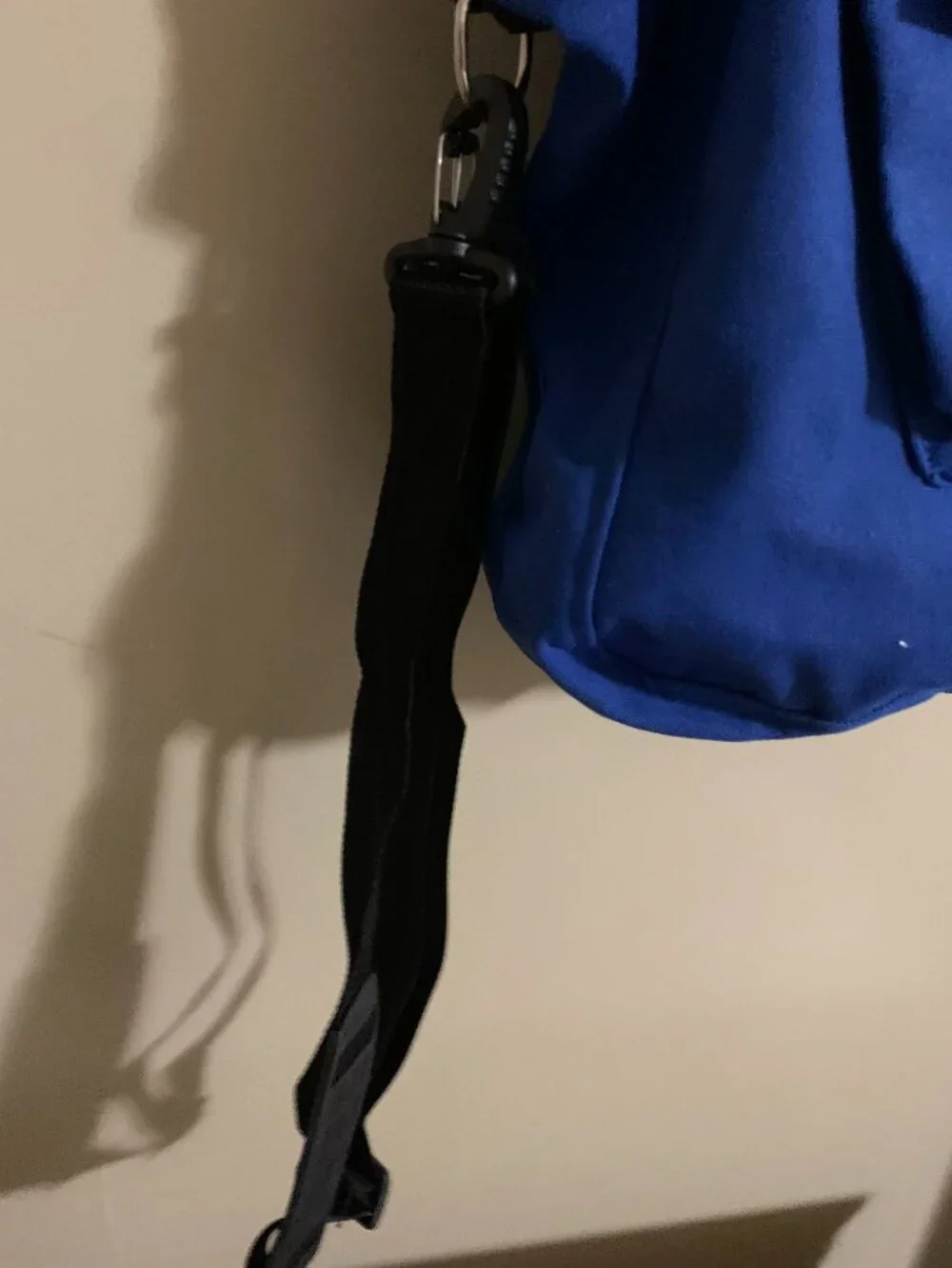 BLUE CANVAS PET CARRIER VANVEGA BRAND